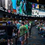 how to bet on sports in vegas